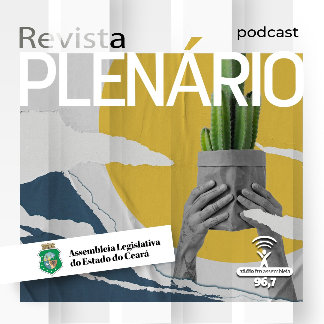 Podcast Revista Plenario 2