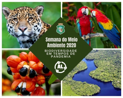 Semana do Meio Ambiente da AL debate pandemia e biodiversidade