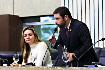 Votação durante sessão plenária