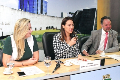 Reunião da Comissão de Infância e Adolescência