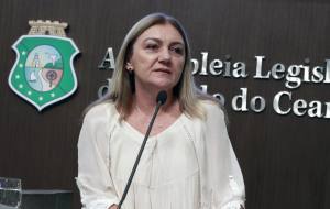 Dep. Inês Arruda (PMDB)