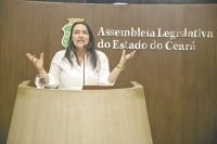 Deputada Silvana Oliveira está no meio da celeuma que tomou conta da Casa nas últimas semanas, após tornar-se líder do bloco PMDB/PMB/PSD 