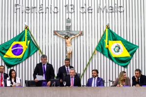 Votação durante a sessão plenária