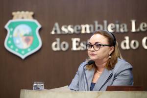 Deputada Eliane Novais