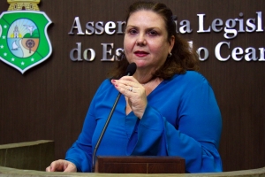 Deputada Fernanda Pessoa