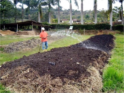 Compostagem de Resíduos Sólidos