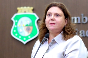 Deputada Fernanda Pessoa