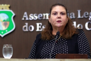 Deputada Fernanda Pessoa