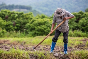 Presidente da Comissão de Meio Ambiente reforça apoio a pequenos produtores