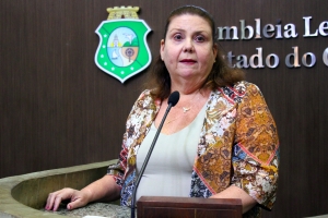 Deputada Fernanda Pessoa