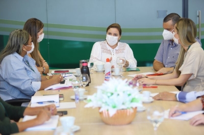 Comitê da AL debate parcerias com Secretaria de Proteção Social