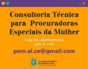 Procuradoria da Mulher vai promover consultoria técnica para órgãos municipais