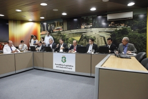 Reunião conjunta das comissões 