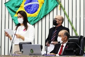 AL aprova prorrogação de contratos temporários de professores universitários