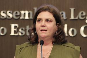 Dep. Fernanda Pessoa (PR)