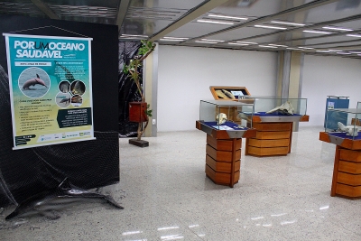 Exposição da Associação de Pesquisa e Preservação de Ecossistemas Aquáticos (Aquasis) 