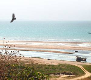 Ponta Grossa, em Icapuí. Litoral e sertão sofrem com degradação