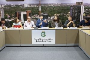 Comissão de Educação destaca debate sobre Fundeb entre ações de 2019