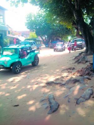 Guarita na entrada do parque está abandonada e a sinalização está precária. Na Vila, o tráfego de veículos é intenso. Entre buggies e carros credenciados, são mais de 350, o que dificulda a fiscalização de irregularidades