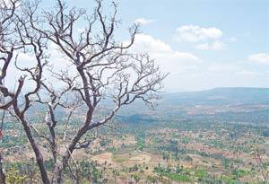 A Área de Proteção Ambiental da Chapada do Araripe sofre degradação ambiental na abrangência de três Estados do Nordeste