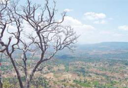 A Área de Proteção Ambiental da Chapada do Araripe sofre degradação ambiental na abrangência de três Estados do Nordeste