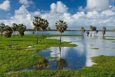 Lagoa da Precabura