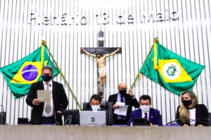 Votação durante a sessão plenária desta quinta-feira