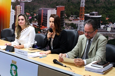 Reunião da Comissão de Infância e Adolescência