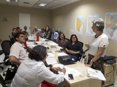 Rreunião coordenada pela consultora técnica do Conselho de Altos estudos, Rosana Gargulli