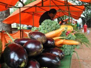 Feira Livre