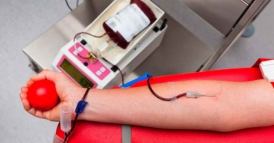 Lei institui Junho Vermelho para incentivar doação de sangue no Ceará