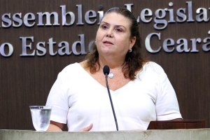 Deputada Fernanda Pessoa