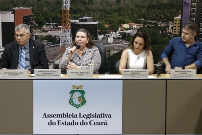 Municipalização de trecho da BR 116 é discutida em audiência pública