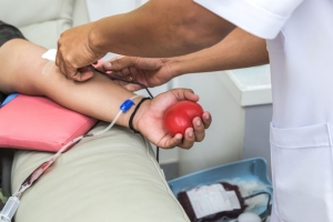 Proposta inclui doadores de sangue e de medula entre prioritários para vacinação