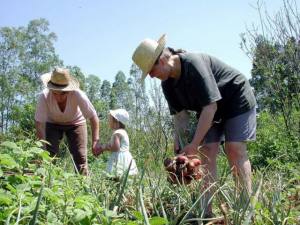 Incentivo a mulheres agricultoras é tema de audiência na AL