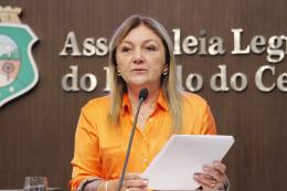 Dep. Inês Arruda ( PMDB ) 