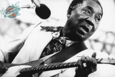 Muddy Waters