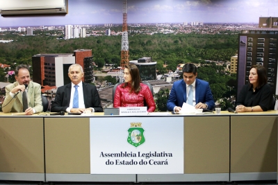 Reunião da Comissão de Infância e Adolescência