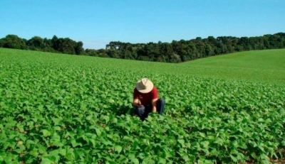 Criação de Plano Estadual de Juventude e Sucessão Rural é sugerida em projeto