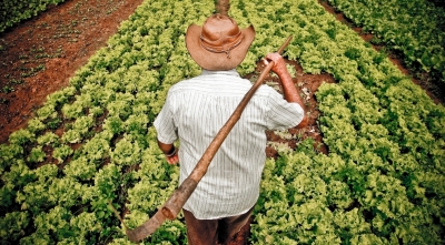 Comissão de Agropecuária concentra debates no combate à seca