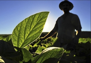 AL celebra os 70 anos de criação da Extensão Rural no Brasil