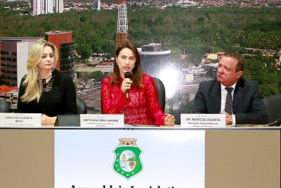 Palestra em alusão à Semana Estadual de Conscientização e Combate a Alienação Parental