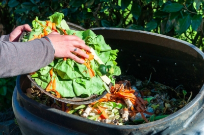 Plano de combate ao desperdício de alimentos é proposto na AL