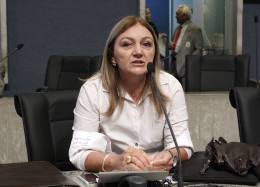 Dep. Inês Arruda (PMDB)