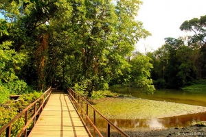 Parque do Cocó