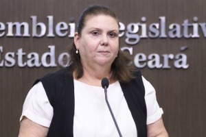 Dep. Fernanda Pessoa ( PSDB )