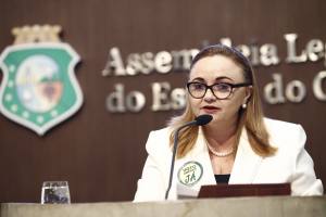 Deputada Eliane Novais (PSB)