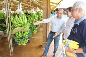 Deputados conheceram produção agrícola na Chapada do Apodi